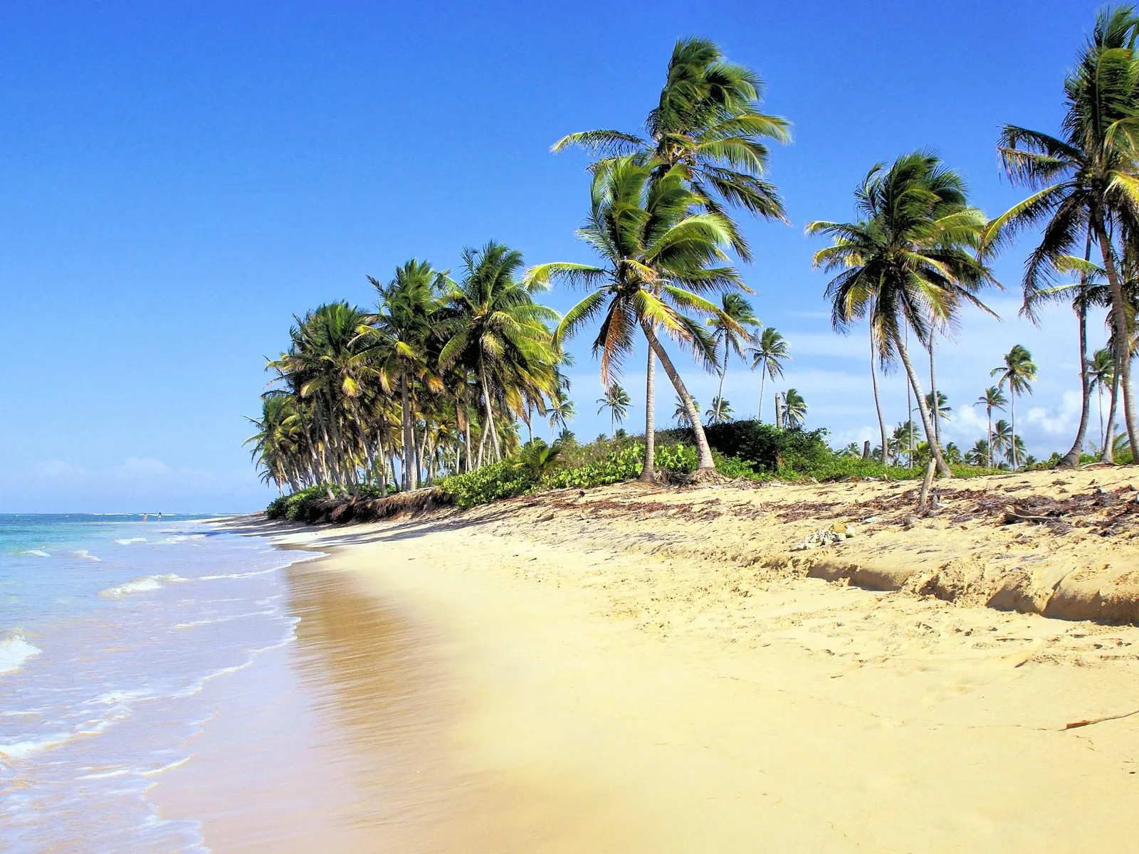 Punta Cana todo incluido sin pagar de más ni sufrir el sargazo